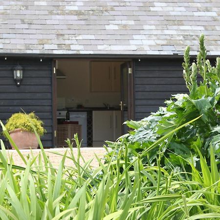 אשפורד Five Cottages In Aonb מראה חיצוני תמונה